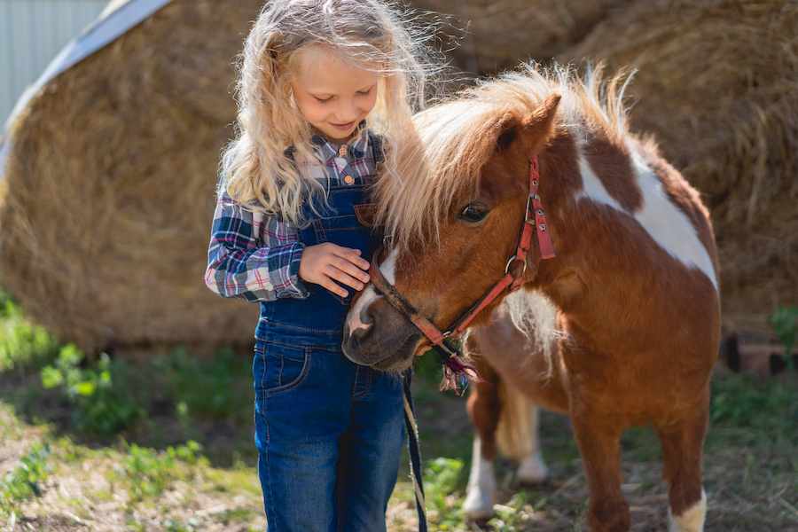 happy-kid-palming-pony-adventure-7959.jpg